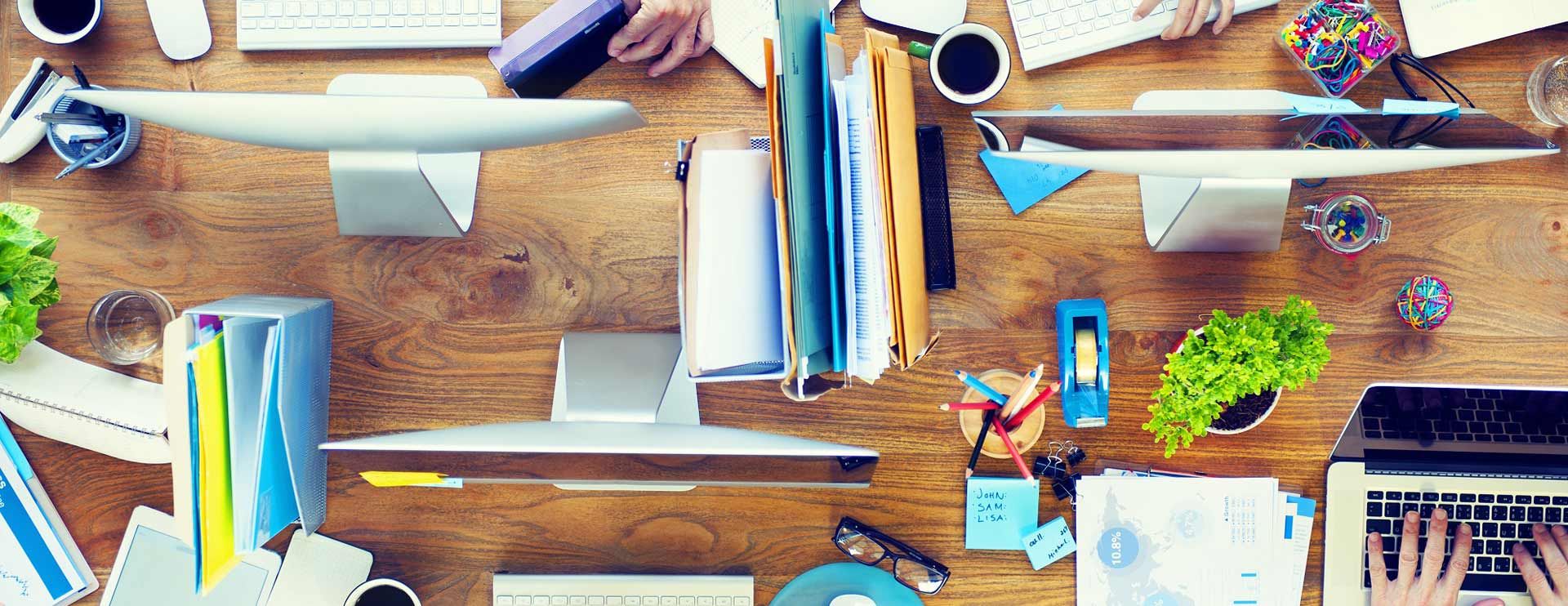 Rosita Solarino Psicologa - Consulenza per le Aziende